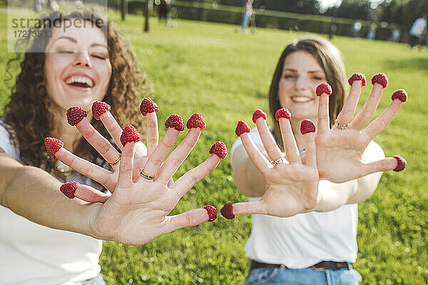 Verspielte Freundinnen genießen mit frischen Himbeeren auf den Fingern im Park während des sonnigen Tages