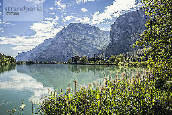 Italien  Trentino  Schilf am Ufer des Lago di Toblino im Sommer mit Castel Toblino im Hintergrund