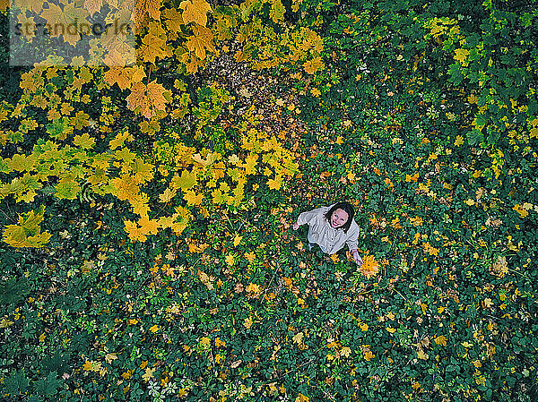 Luftaufnahme einer erwachsenen Frau  die mit Blättern in der Hand in einem herbstlichen Park steht