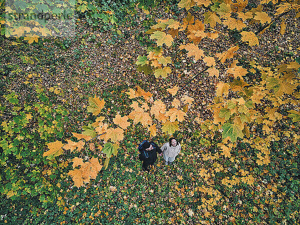 Luftaufnahme eines erwachsenen Paares  das sich im Herbst in einem Park die Hände hält