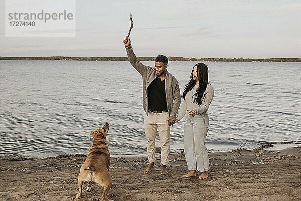 Paar hält sich an den Händen  während es mit seinem Hund am See bei Sonnenuntergang spielt