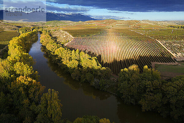 Malerischer Blick auf den Fluss am Weinberg im Herbst