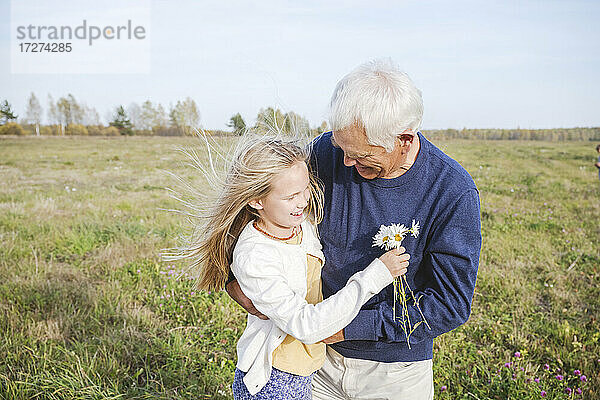 Glücklicher Großvater mit Enkelin  die Kamillenblüten auf einem Feld hält