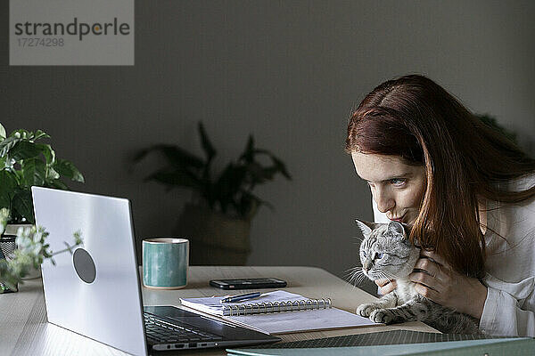 Junge Frau küsst Katze bei der Arbeit am Laptop zu Hause