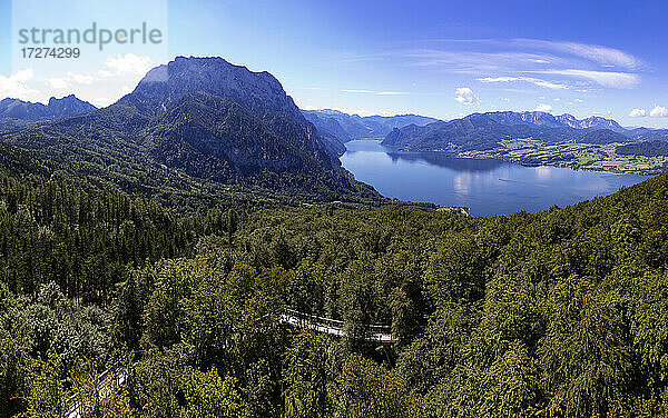 Grunbergwald im Sommer mit Traunsee im Hintergrund