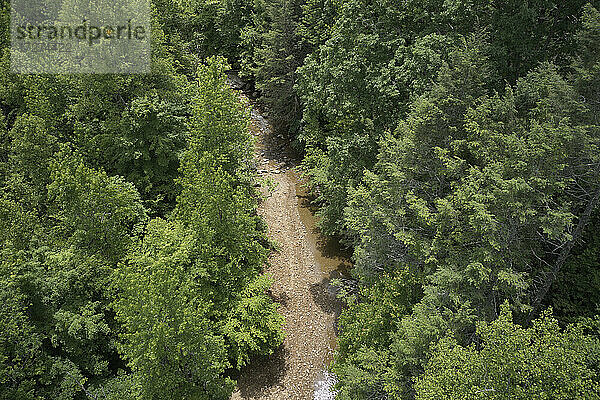 Luftaufnahme des Little Clear Creek  der durch einen üppigen grünen Wald fließt