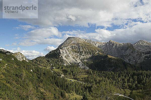 Blick auf ein bewaldetes Tal am Fuße des Schneibsteins