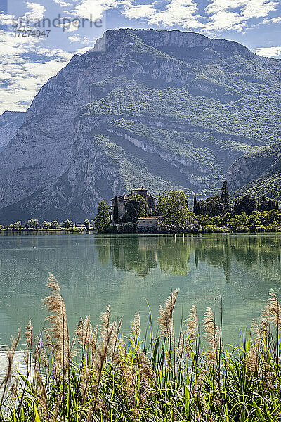 Italien  Trentino  Schilf am Ufer des Lago di Toblino im Sommer mit Castel Toblino im Hintergrund