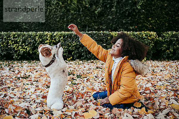 Verspieltes Mädchen spielt mit Hund im Park sitzend