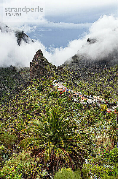 Spanien  Provinz Santa Cruz de Tenerife  Masca  Abgelegenes Dorf im Gebirge Macizo de Teno