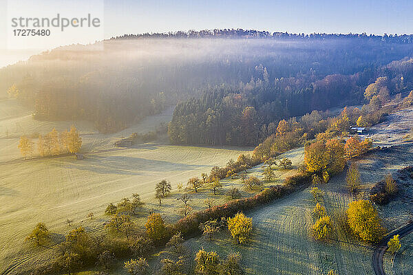 Drone Blick auf bewaldeten Landschaft Hügel bei nebligen Herbst Sonnenaufgang