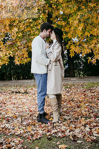Junges Paar  das sich umarmt  während es im Herbst vor einem Baum steht