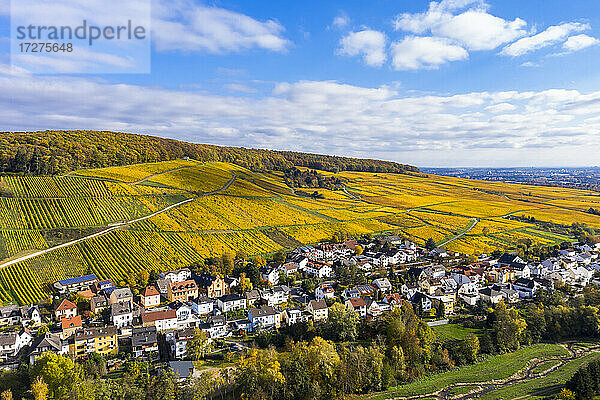 Deutschland  Hessen  Martinsthal  Blick aus dem Hubschrauber auf eine ländliche Stadt im Herbst mit Weinbergen im Hintergrund