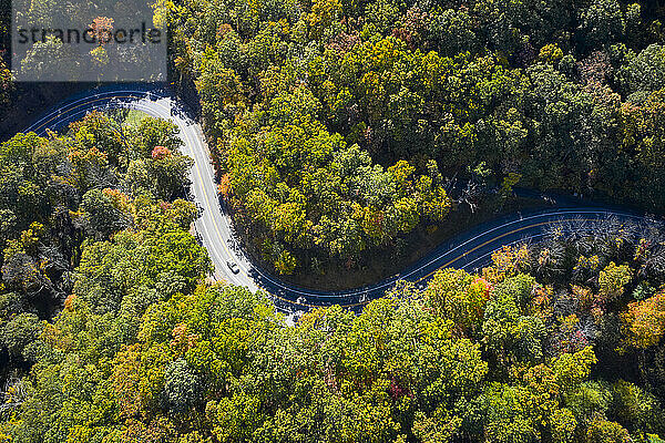Luftaufnahme einer asphaltierten Straße  die sich im Herbst durch einen Bergwald schlängelt