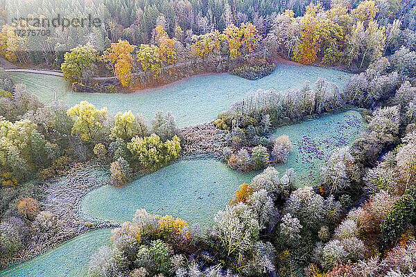 Drohnenansicht von türkisfarbenen Grasflecken im Herbstwald in der Morgendämmerung