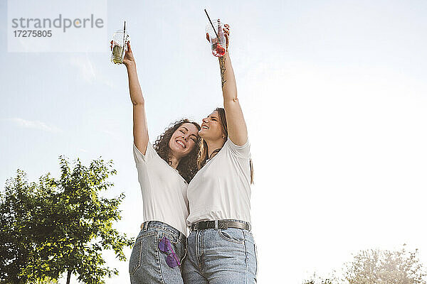 Fröhliche Freundinnen stehen mit erhobenen Limonaden im Park gegen den Himmel an einem sonnigen Tag