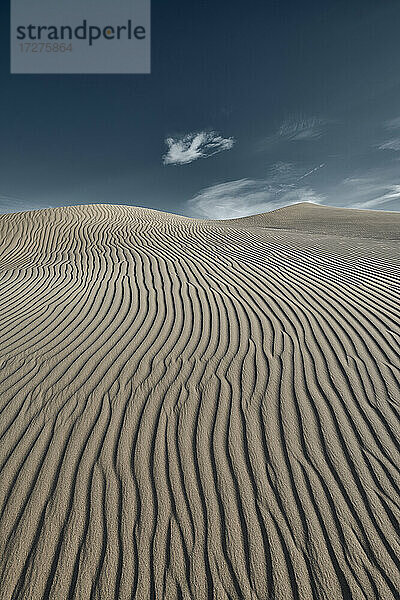 Cadiz-Dünen gegen den klaren Himmel in der Mojave-Wüste  Südkalifornien  USA