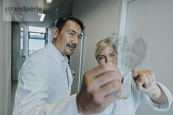 Arzt und Wissenschaftler diskutieren über eine Hirnglasprobe  während sie auf dem Klinikflur stehen