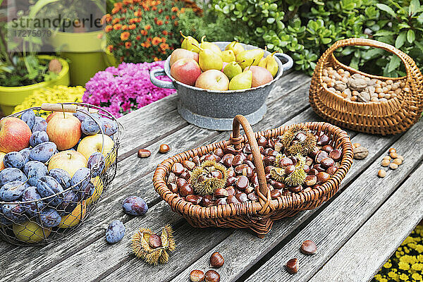 Gartentisch mit Herbsternte von Nüssen und Früchten gefüllt