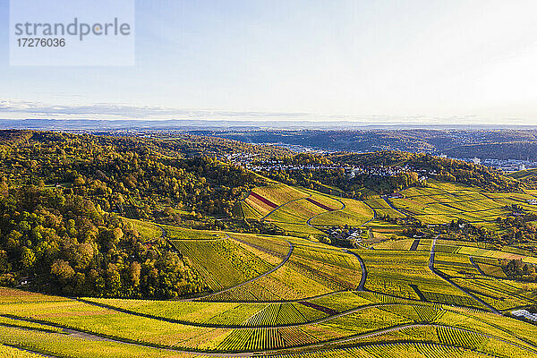 Deutschland  Baden-Württemberg  Rotenberg  Luftaufnahme von ausgedehnten Weinbergen in der Herbstdämmerung