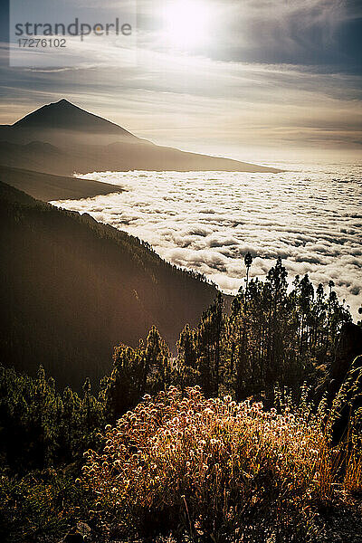 Ehrfurcht vor der Landschaft mit Wolkenlandschaft im Nationalpark El Teide  Teneriffa  Spanien