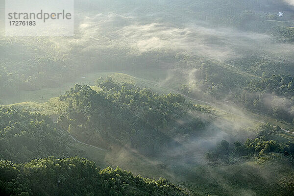 Luftaufnahme des in Morgennebel gehüllten Waldes in den Appalachen