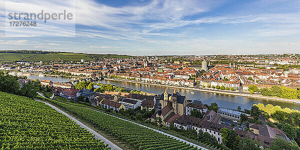 Deutschland  Bayern  Würzburg  Panorama der Weinberge und Häuser der Flussstadt in der Abenddämmerung