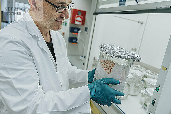 Wissenschaftler  der im Labor stehend einen Becher mit konserviertem menschlichen Gehirn untersucht