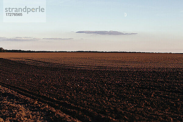 Deutschland  Brandenburg  Linum  Braunes gepflügtes Feld in der Abenddämmerung