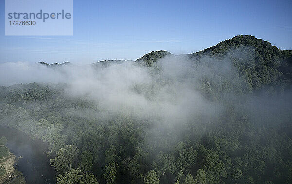 Luftaufnahme von Nebel  der über bewaldeten Bergen schwebt