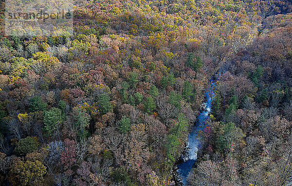 Luftaufnahme des durch die George Washington und Jefferson National Forests fließenden Flusses im Herbst