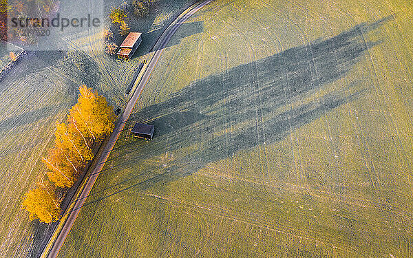 Drohnenansicht einer Straße  die sich zwischen Feldern in der Herbstdämmerung erstreckt