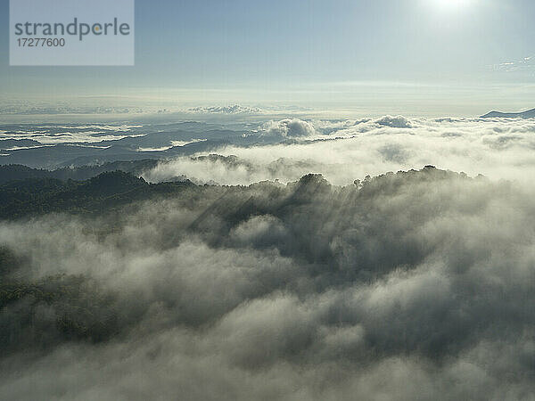 Luftaufnahme von tief hängenden Wolken  die bewaldete Hügel einhüllen