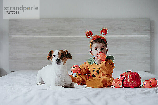 Süßes Baby Junge setzen Spielzeug in den Mund sitzen mit Hund auf dem Bett zu Hause