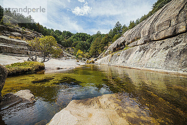 Fluss  der zwischen Felsen im Wald bei La Pedriza  Madrid  Spanien  fließt