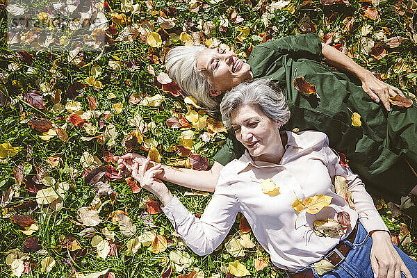 Glückliche Frauen  die lächelnd im Gras eines öffentlichen Parks liegen