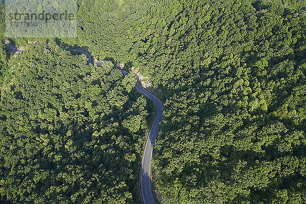 Luftaufnahme eines Highways  der sich im Sommer durch den grünen Wald der Appalachen zieht