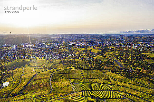 Deutschland  Baden-Württemberg  Stuttgart  Luftaufnahme von ausgedehnten Weinbergen bei Sonnenuntergang im Herbst