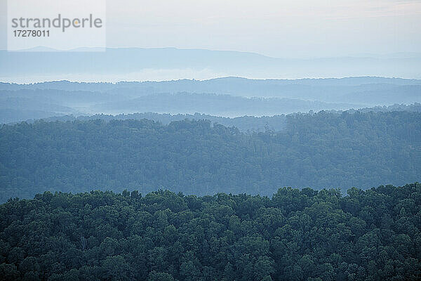 Luftaufnahme des in Morgennebel gehüllten Waldes in den Appalachen