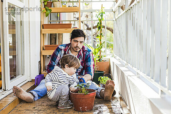 Vater und Sohn betrachten eine Erdbeerpflanze  während sie auf dem Balkon sitzen