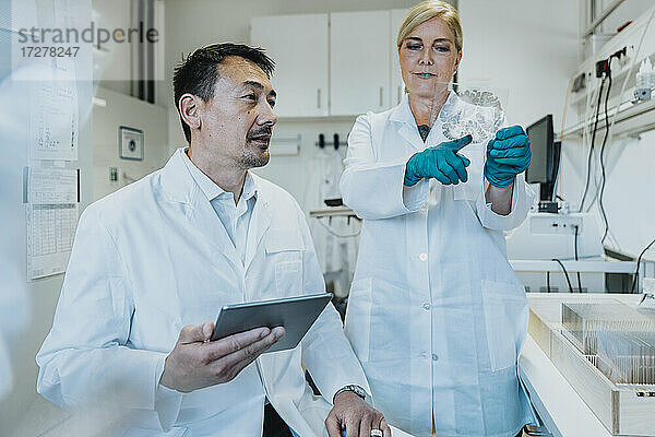 Wissenschaftler diskutieren bei der Arbeit im Labor über eine Glasprobe des menschlichen Gehirns