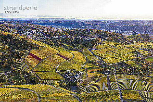 Deutschland  Baden-Württemberg  Rotenberg  Luftaufnahme von ausgedehnten Weinbergen in der Herbstdämmerung