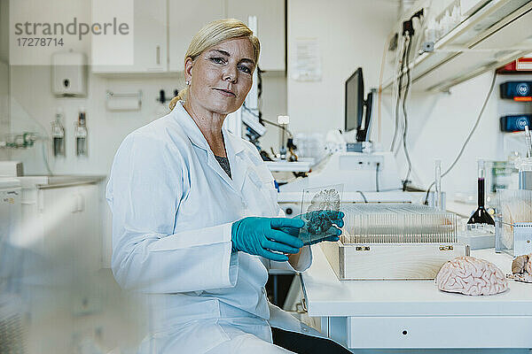 Frau  die im Labor sitzend einen Objektträger mit menschlichem Gehirn untersucht