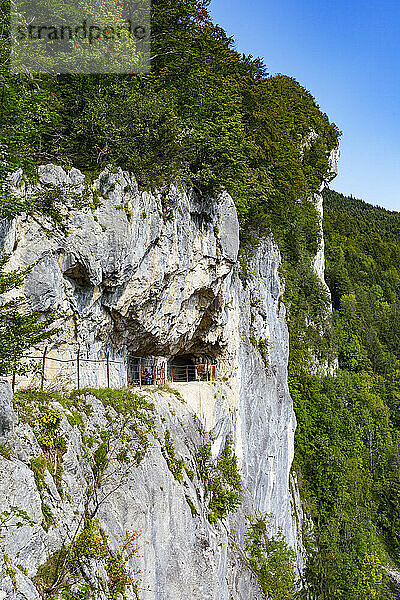 Felsenberg der Ewigen Wand bei Bad Goisern  Oberösterreich  Österreich