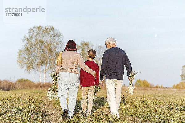 Älteres Ehepaar geht mit Enkel auf einem Feld spazieren