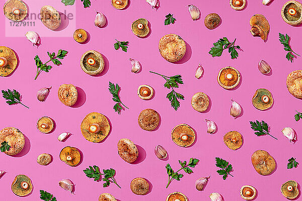 Verschiedene Pilze  Petersilie und Knoblauch auf rosa Hintergrund