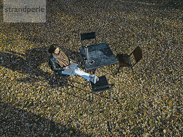 Drone Ansicht der Frau Lesung Buch beim Sitzen auf Stuhl im Park im Herbst Saison
