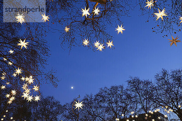Mit sternförmigen Weihnachtslichtern geschmückte Baumzweige  die nachts im Freien leuchten