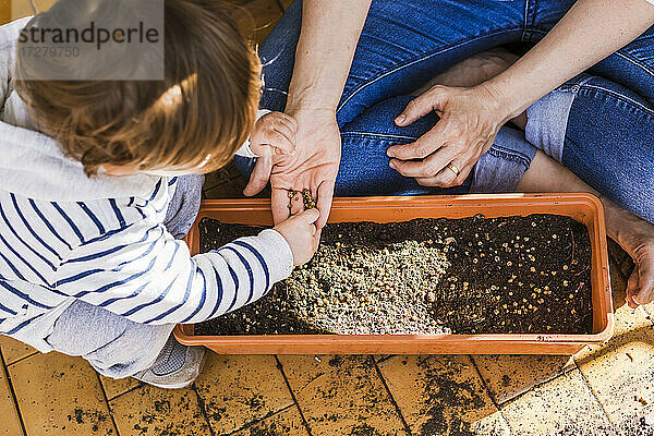 Junge hilft Mutter beim Einpflanzen von Samen in einen Topf auf dem Balkon