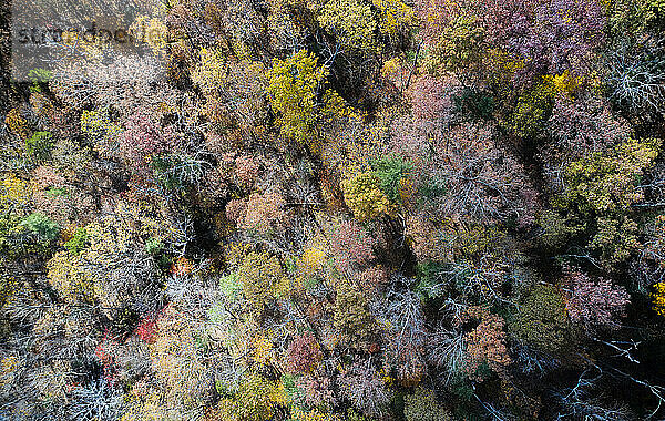 Luftaufnahme der George Washington und Jefferson National Forests im Herbst